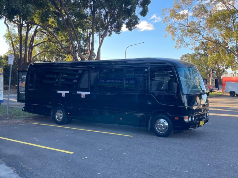 black-bus
